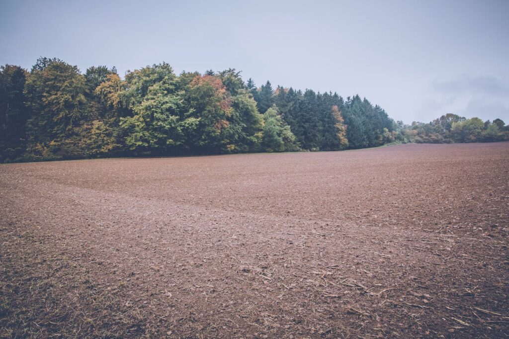 pexels-photo-102728 A serene view of rural farmland bordered by lush forest trees on an overcast day.